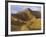 Landon Monholland Mountain Bikes on the Zippy Doo Dah Trail in Fruita, Colorado, Usa-Chuck Haney-Framed Photographic Print