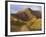 Landon Monholland Mountain Bikes on the Zippy Doo Dah Trail in Fruita, Colorado, Usa-Chuck Haney-Framed Photographic Print