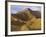 Landon Monholland Mountain Bikes on the Zippy Doo Dah Trail in Fruita, Colorado, Usa-Chuck Haney-Framed Photographic Print