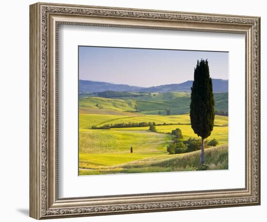 Landscale Near Pienza, Val D' Orcia, Tuscany, Italy-Doug Pearson-Framed Photographic Print