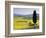 Landscale Near Pienza, Val D' Orcia, Tuscany, Italy-Doug Pearson-Framed Photographic Print