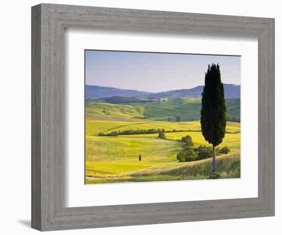 Landscale Near Pienza, Val D' Orcia, Tuscany, Italy-Doug Pearson-Framed Photographic Print