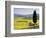 Landscale Near Pienza, Val D' Orcia, Tuscany, Italy-Doug Pearson-Framed Photographic Print