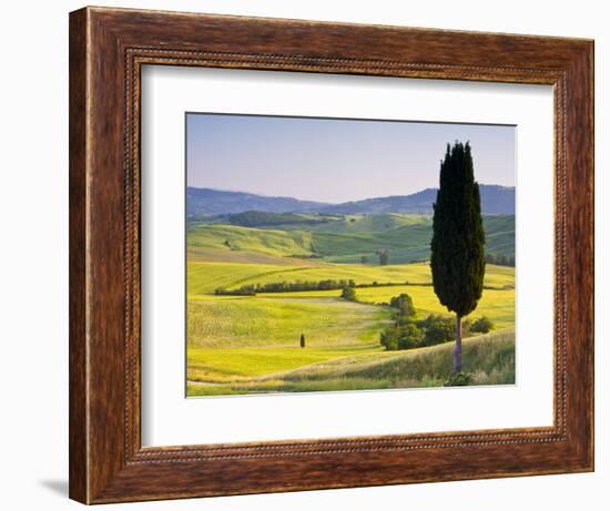 Landscale Near Pienza, Val D' Orcia, Tuscany, Italy-Doug Pearson-Framed Photographic Print