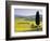 Landscale Near Pienza, Val D' Orcia, Tuscany, Italy-Doug Pearson-Framed Photographic Print