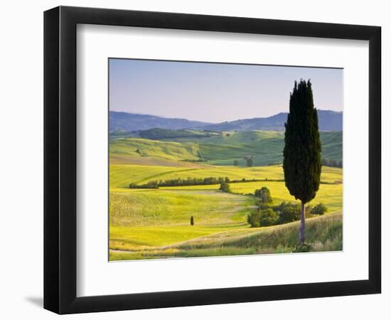 Landscale Near Pienza, Val D' Orcia, Tuscany, Italy-Doug Pearson-Framed Photographic Print