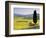 Landscale Near Pienza, Val D' Orcia, Tuscany, Italy-Doug Pearson-Framed Photographic Print