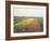 Landscape, 1848-Gustave Caillebotte-Framed Photo