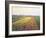 Landscape, 1848-Gustave Caillebotte-Framed Photo
