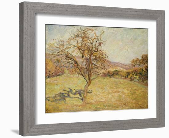 Landscape, 1890-Armand Guillaumin-Framed Giclee Print