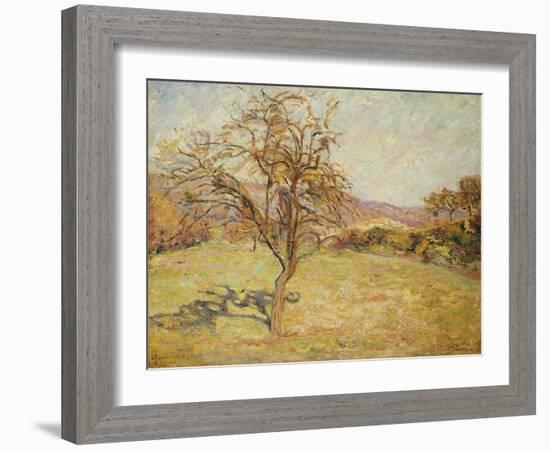 Landscape, 1890-Jean Baptiste Armand Guillaumin-Framed Giclee Print