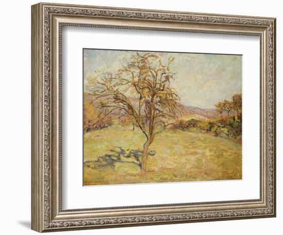 Landscape, 1890-Armand Guillaumin-Framed Giclee Print