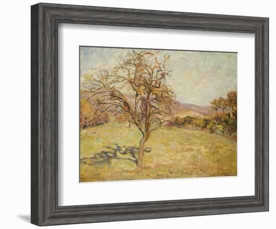 Landscape, 1890-Armand Guillaumin-Framed Giclee Print