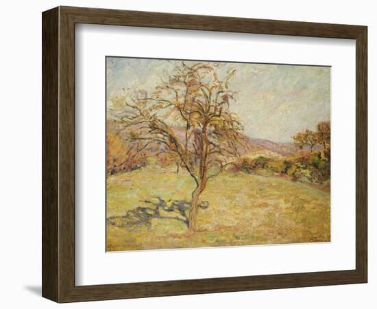 Landscape, 1890-Armand Guillaumin-Framed Giclee Print