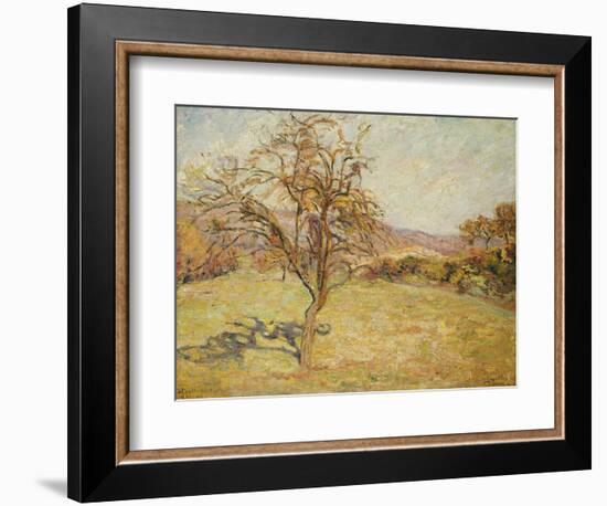 Landscape, 1890-Armand Guillaumin-Framed Giclee Print