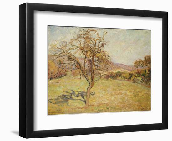 Landscape, 1890-Armand Guillaumin-Framed Giclee Print