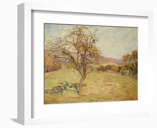 Landscape, 1890-Armand Guillaumin-Framed Giclee Print