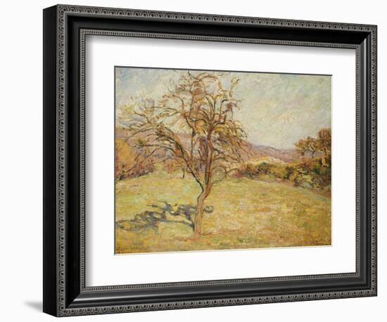 Landscape, 1890-Armand Guillaumin-Framed Giclee Print