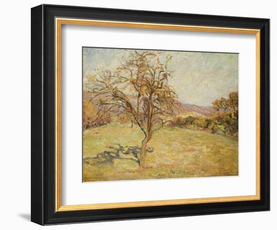 Landscape, 1890-Armand Guillaumin-Framed Giclee Print