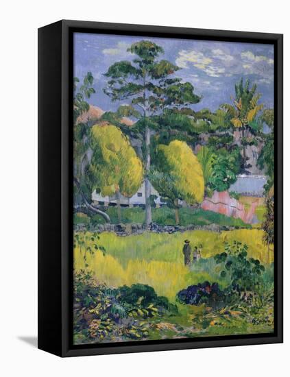 Landscape, 1901-Paul Gauguin-Framed Premier Image Canvas