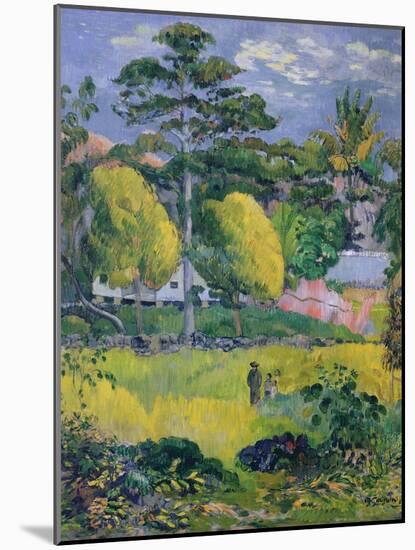 Landscape, 1901-Paul Gauguin-Mounted Giclee Print