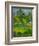 Landscape, 1901-Paul Gauguin-Framed Giclee Print