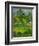 Landscape, 1901-Paul Gauguin-Framed Giclee Print