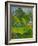 Landscape, 1901-Paul Gauguin-Framed Giclee Print