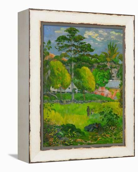 Landscape, 1901-Paul Gauguin-Framed Premier Image Canvas