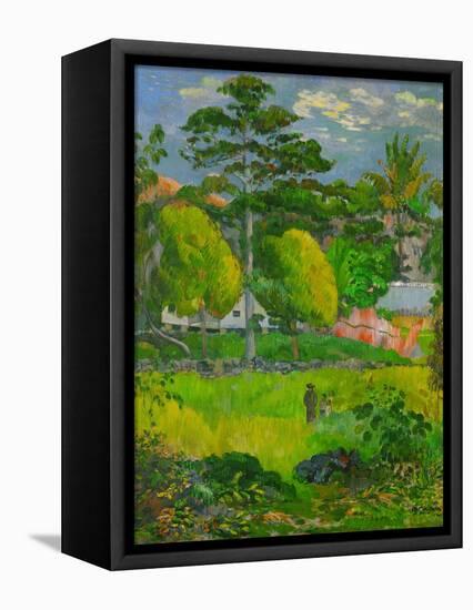 Landscape, 1901-Paul Gauguin-Framed Premier Image Canvas