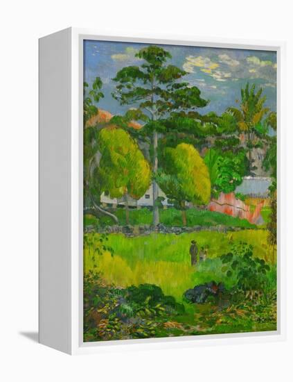 Landscape, 1901-Paul Gauguin-Framed Premier Image Canvas