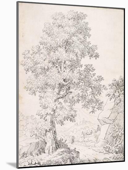 Landscape, a Shepherd and His Goats Walking by a Tree-I. Inghivami-Mounted Giclee Print