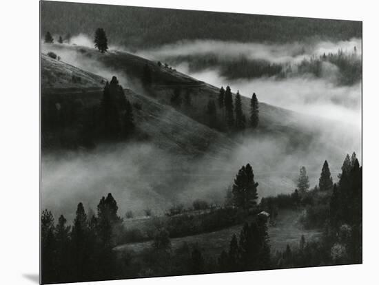 Landscape and Fog, 1971-Brett Weston-Mounted Premium Photographic Print