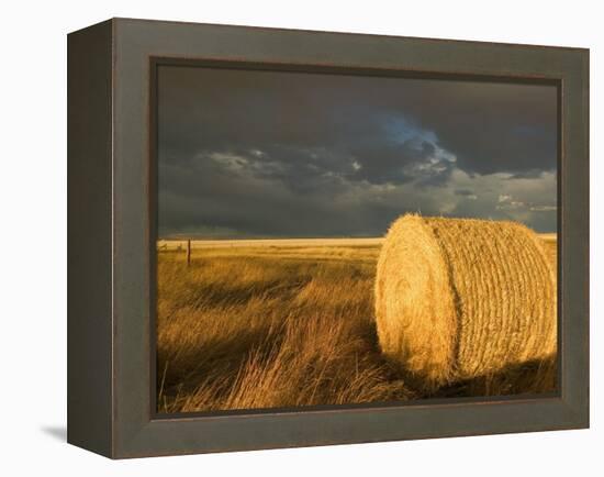 Landscape and Hay Roll in Alberta, Canada-Walter Bibikow-Framed Premier Image Canvas
