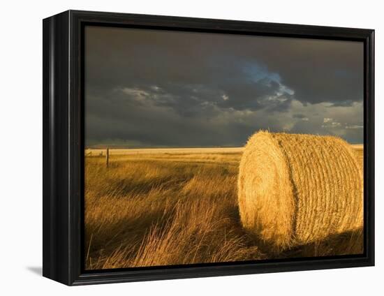 Landscape and Hay Roll in Alberta, Canada-Walter Bibikow-Framed Premier Image Canvas