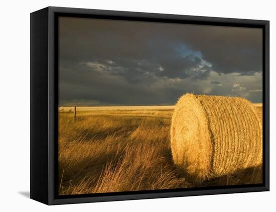 Landscape and Hay Roll in Alberta, Canada-Walter Bibikow-Framed Premier Image Canvas