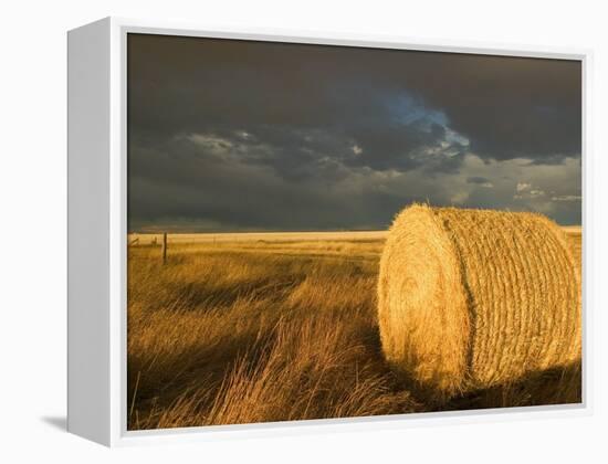 Landscape and Hay Roll in Alberta, Canada-Walter Bibikow-Framed Premier Image Canvas