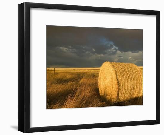 Landscape and Hay Roll in Alberta, Canada-Walter Bibikow-Framed Photographic Print