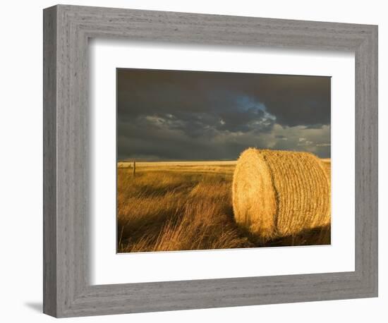 Landscape and Hay Roll in Alberta, Canada-Walter Bibikow-Framed Photographic Print