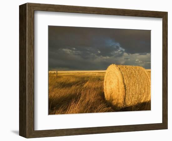 Landscape and Hay Roll in Alberta, Canada-Walter Bibikow-Framed Photographic Print