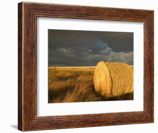 Landscape and Hay Roll in Alberta, Canada-Walter Bibikow-Framed Photographic Print