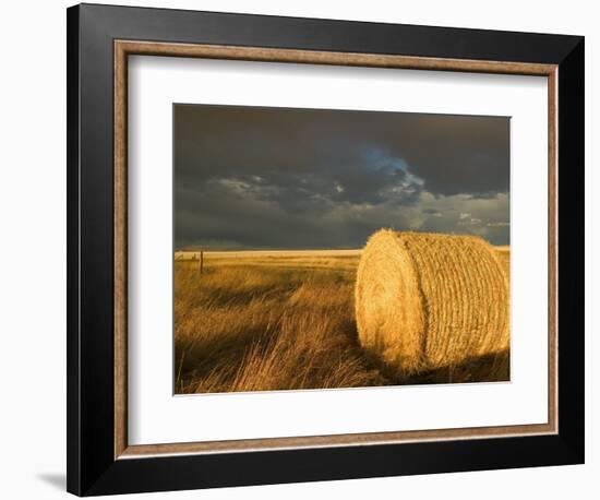 Landscape and Hay Roll in Alberta, Canada-Walter Bibikow-Framed Photographic Print