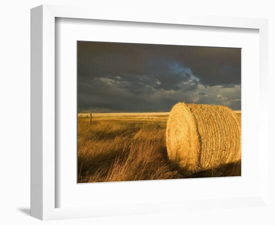 Landscape and Hay Roll in Alberta, Canada-Walter Bibikow-Framed Photographic Print