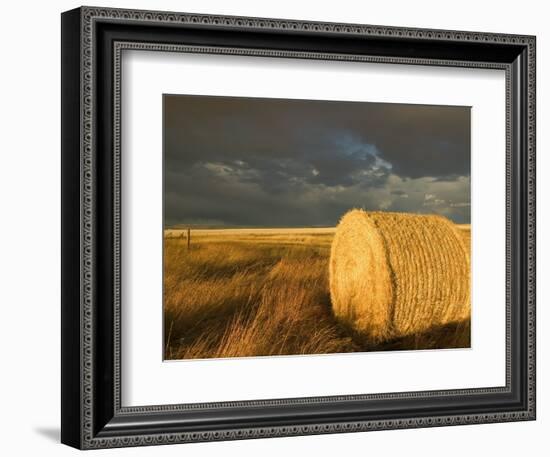 Landscape and Hay Roll in Alberta, Canada-Walter Bibikow-Framed Photographic Print