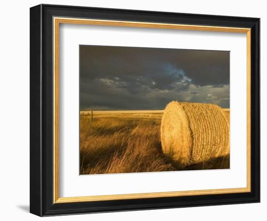 Landscape and Hay Roll in Alberta, Canada-Walter Bibikow-Framed Photographic Print