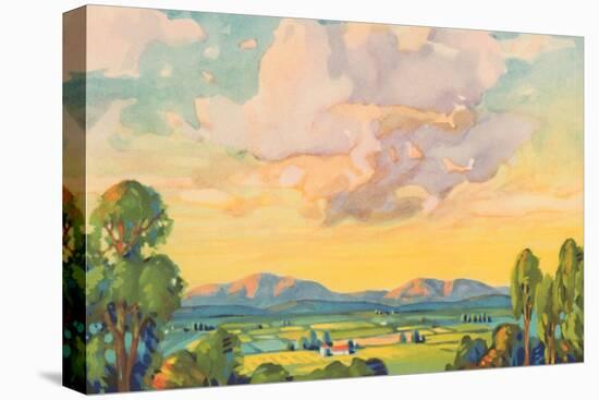 Stretched Canvas Print, , large