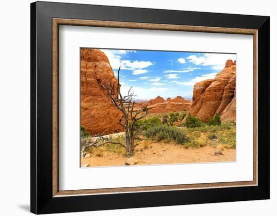 Landscape - Arches National Park - Utah - United States-Philippe Hugonnard-Framed Photographic Print