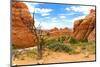 Landscape - Arches National Park - Utah - United States-Philippe Hugonnard-Mounted Photographic Print