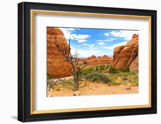 Landscape - Arches National Park - Utah - United States-Philippe Hugonnard-Framed Photographic Print