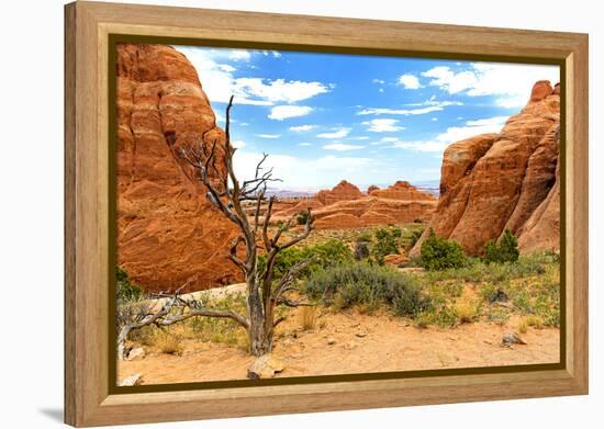 Landscape - Arches National Park - Utah - United States-Philippe Hugonnard-Framed Premier Image Canvas